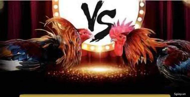 Khám Phá Thế Giới Đá Gà Vin68 Đỉnh Cao Sôi Động Bậc Nhất Thị Trường