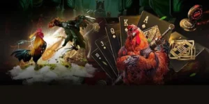 Hướng Dẫn Cách Chơi Đá Gà GA28 Tại Vin68 Săn Thưởng Khủng Mỗi Ngày