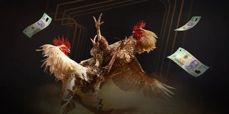 Khám Phá Thế Giới Đá Gà Vin68 Đỉnh Cao Sôi Động Bậc Nhất Thị Trường